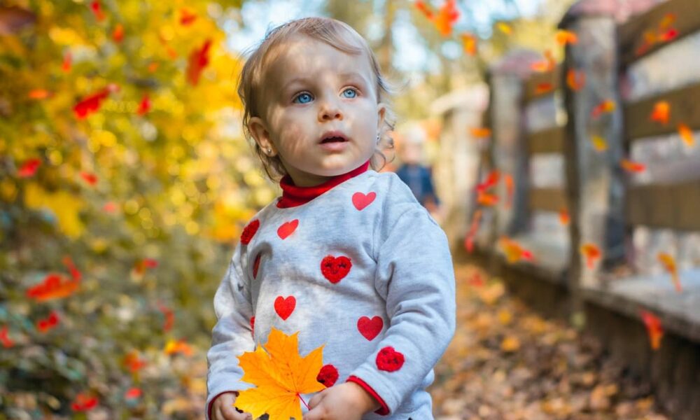 Manitoba's Largest Draw Of 2020 On December 17