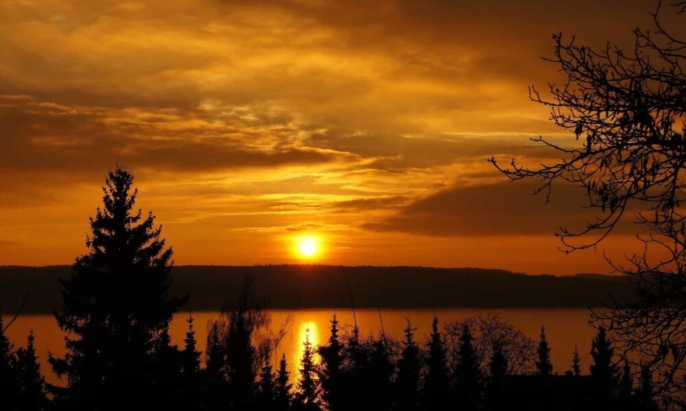 Ontario Express Entry