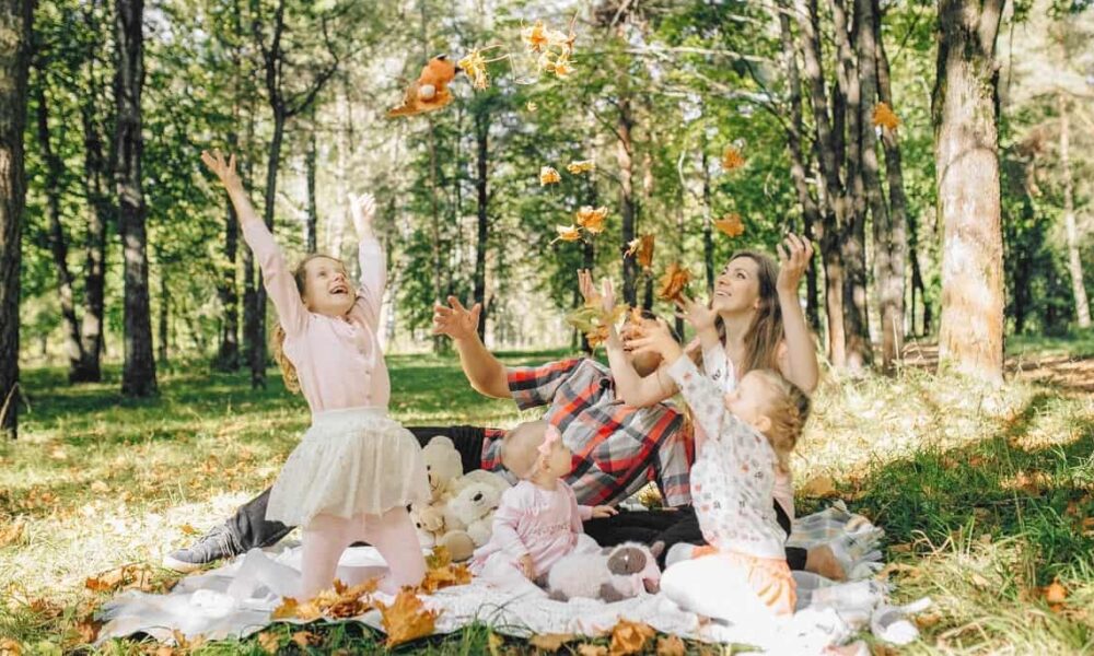 Manitoba Provincial Nominee Program