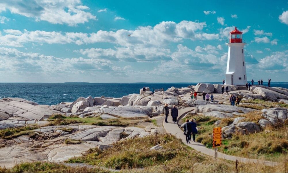 labour market priorities stream