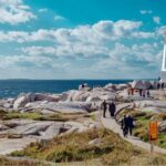 labour market priorities stream