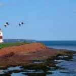 Prince Edward Island PNP Draw