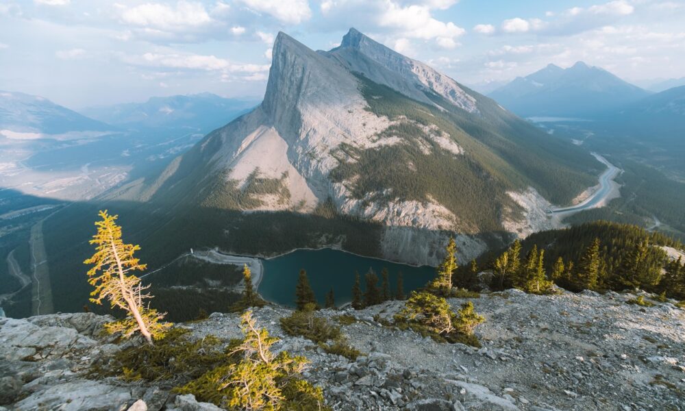 Immigration Nominee Program Alberta