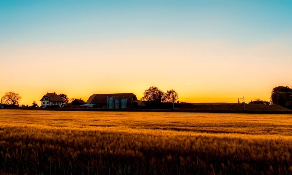 Saskatchewan Issues Over 500 Invitations via PNP Draw