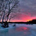 quebec skilled workers