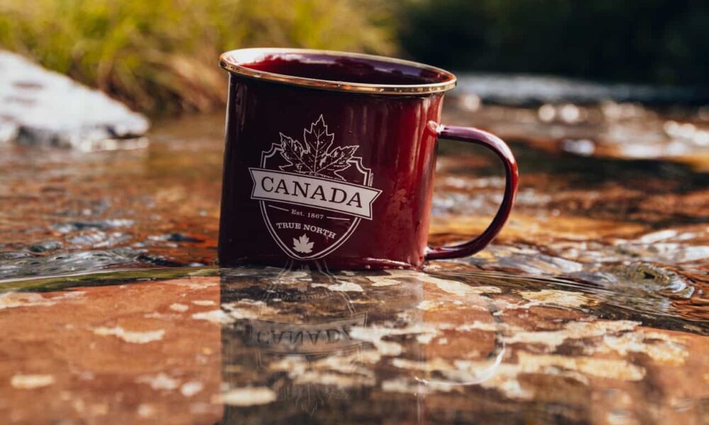 Tips on How to Open a Bank Account in Canada as a Newcomer