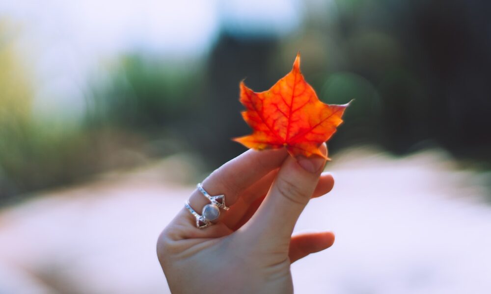 All-Program Express Entry Draw