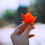 All-Program Express Entry Draw