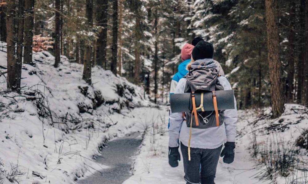 Canada Met Its Francophone Immigration Target for 2022 – Welcomed French Speaking Immigrants CIN