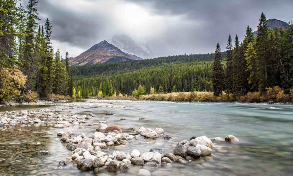 Alberta Provincial Nominee Program