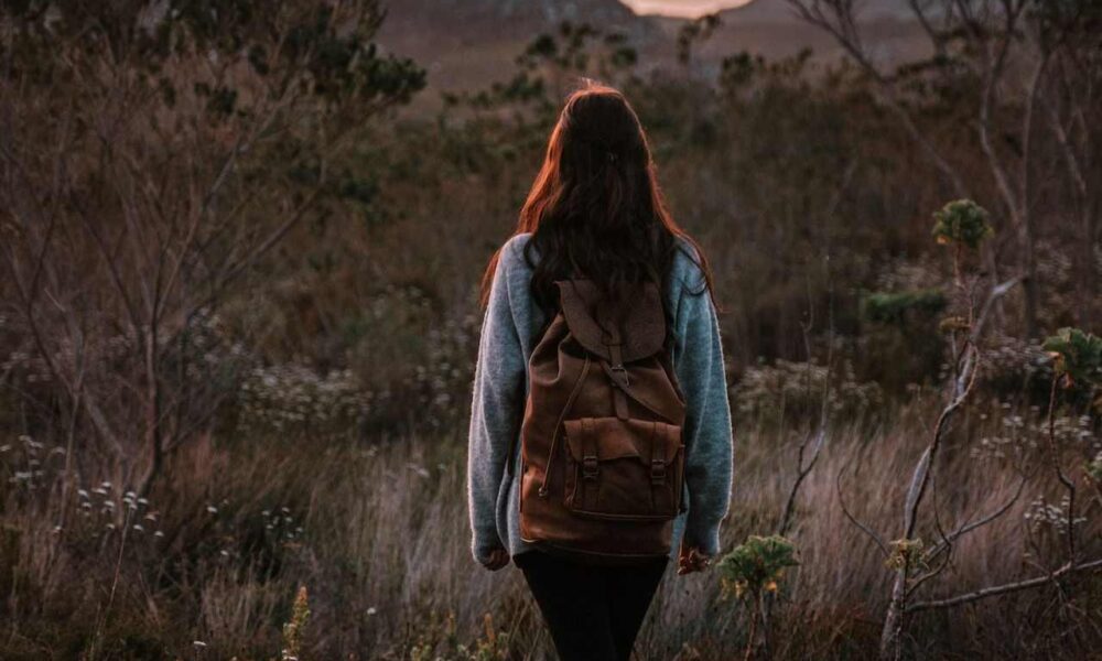 Introduce Immigration Policies