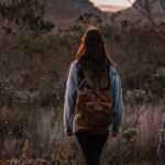 Introduce Immigration Policies