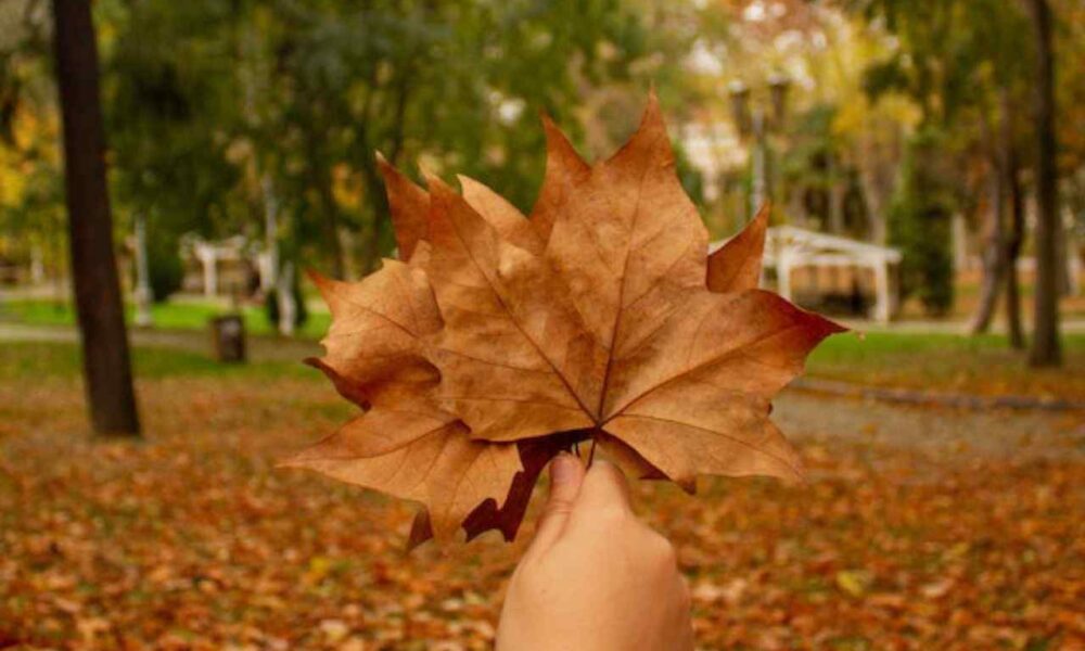 Broader Distribution of Immigrants