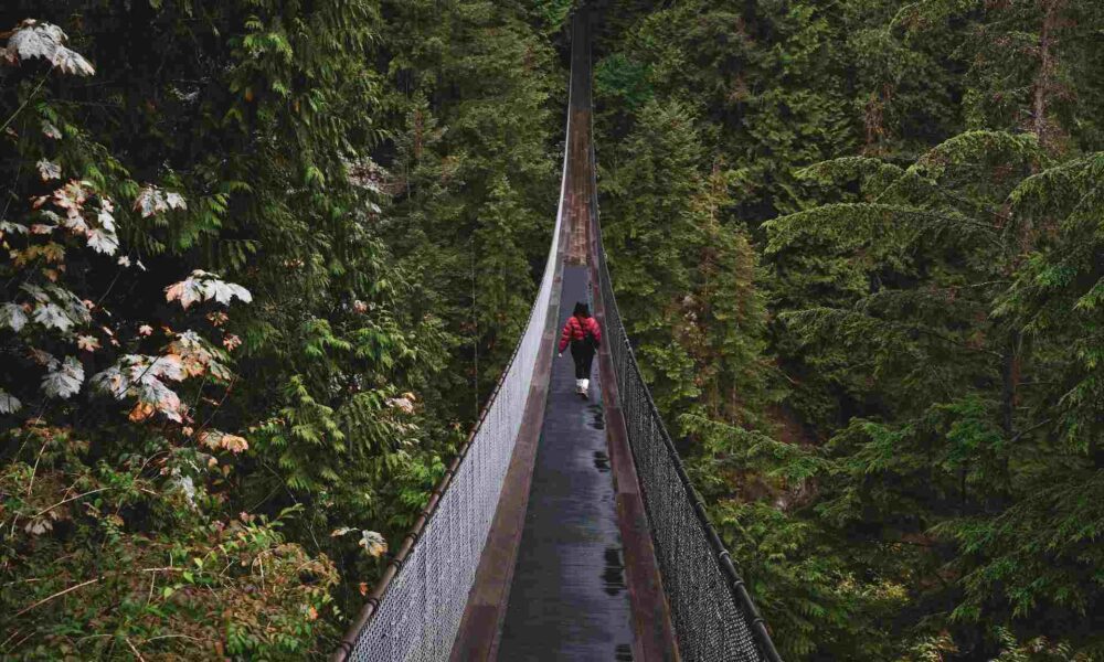 British Columbia Held New Skills Immigration Draw, Invited 149 Candidates