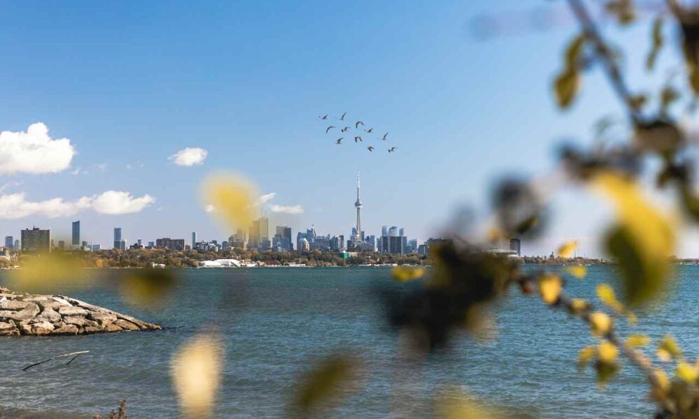 Human Capital Priorities Stream