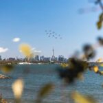 Human Capital Priorities Stream