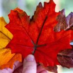 British Columbia's Latest Skills Immigration Draw