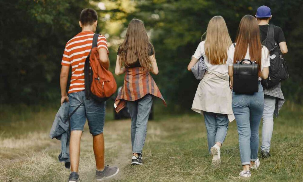 Drop in International Student Permits