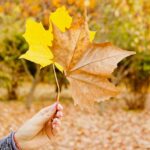 Latest Manitoba PNP Draw