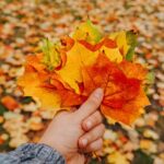 Canada Climate Action Incentive Payment