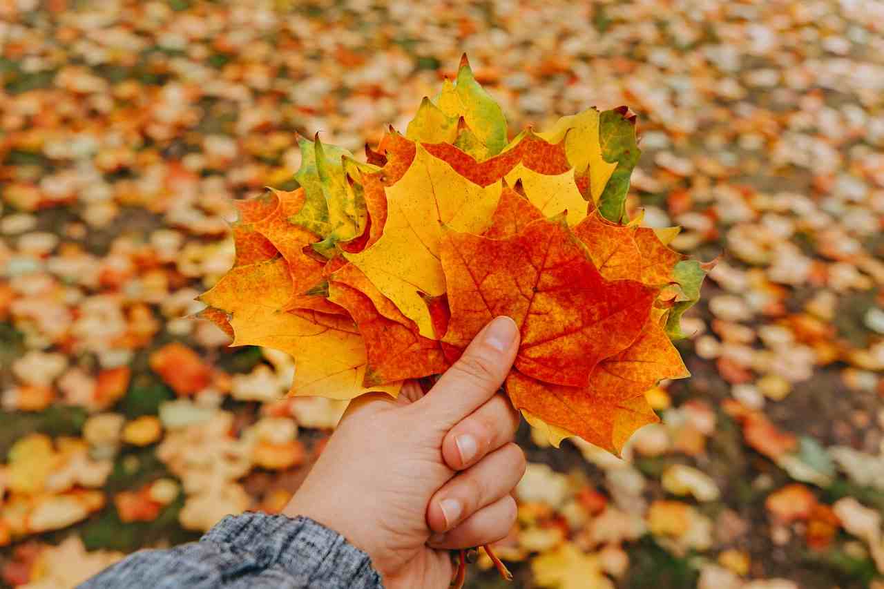 Canada Climate Action Incentive Payment