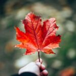 Canada's Changing Immigration Plans