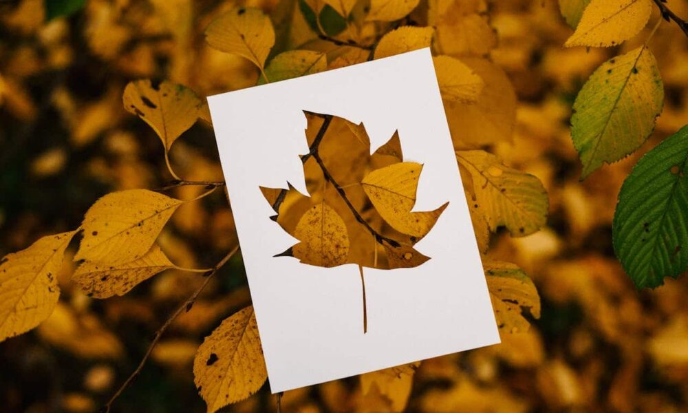 Saskatchewan PNP Updates Excluded Occupation List for SINP Applicants