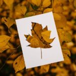 Saskatchewan PNP Updates Excluded Occupation List for SINP Applicants