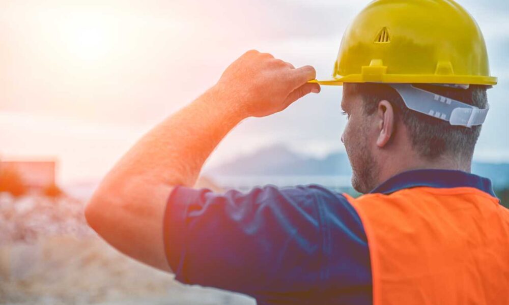 Government Streamlines Temporary Foreign Worker Applications, Sparking Fraud Prevention Concerns