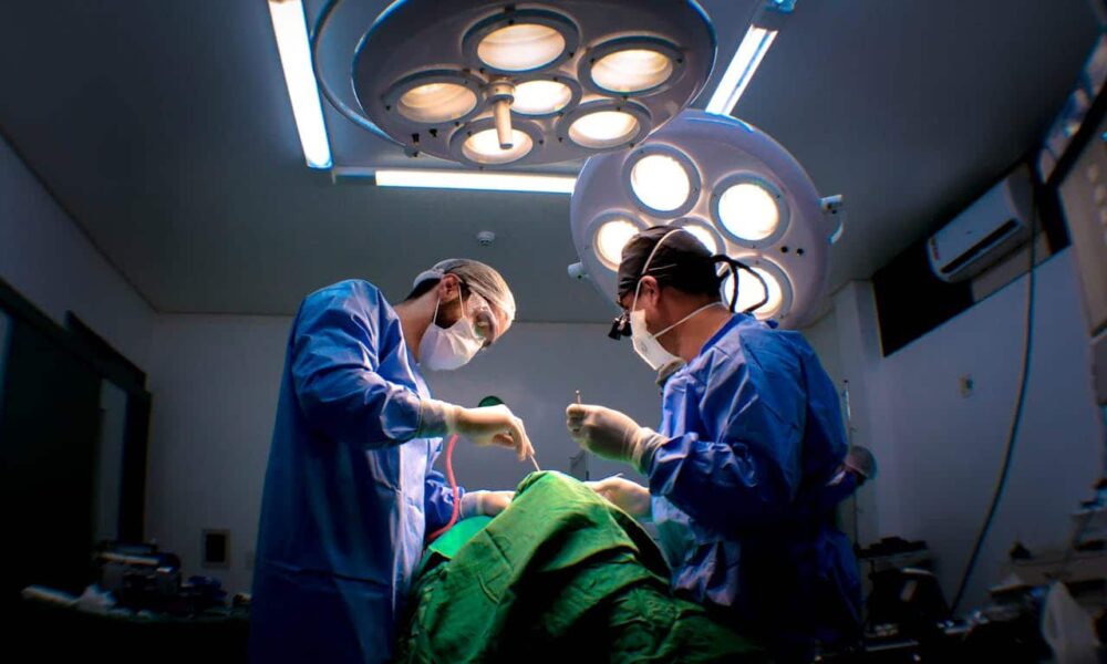 Ontario Invites 1,269 Healthcare Professionals in Latest Express Entry Draw