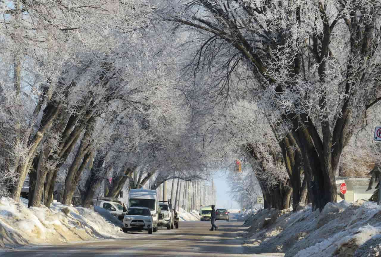 Manitoba Immigration System Continues to Welcome Candidates Despite Temporary Challenges