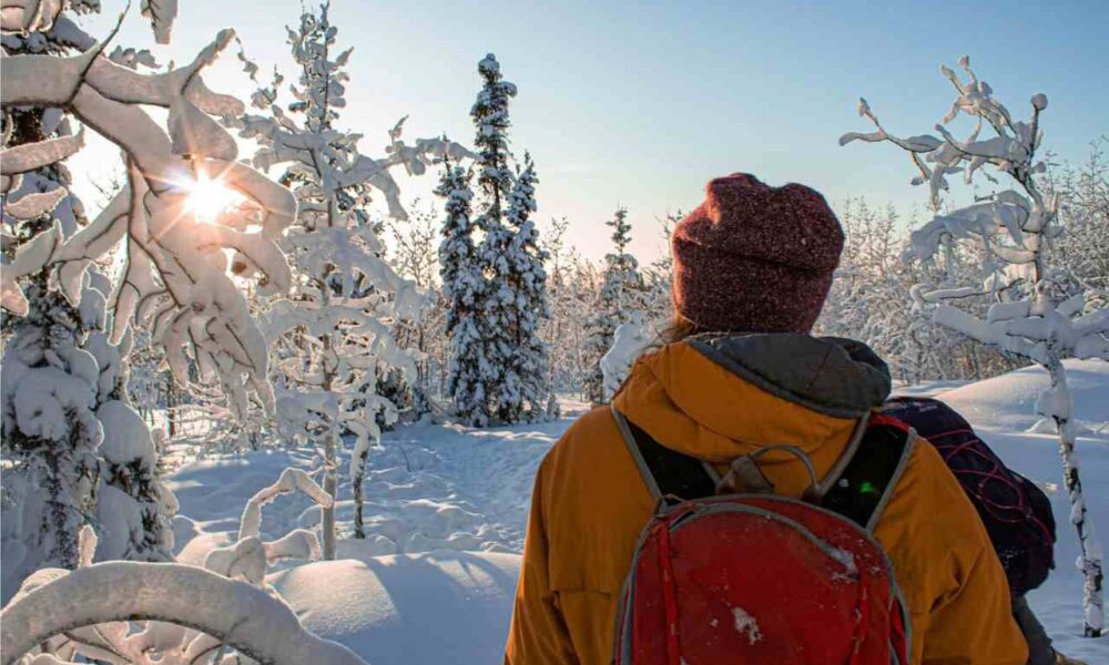 Nomination Allocation