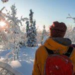 Nomination Allocation