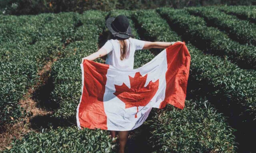 Reshape Canada Immigration Policy