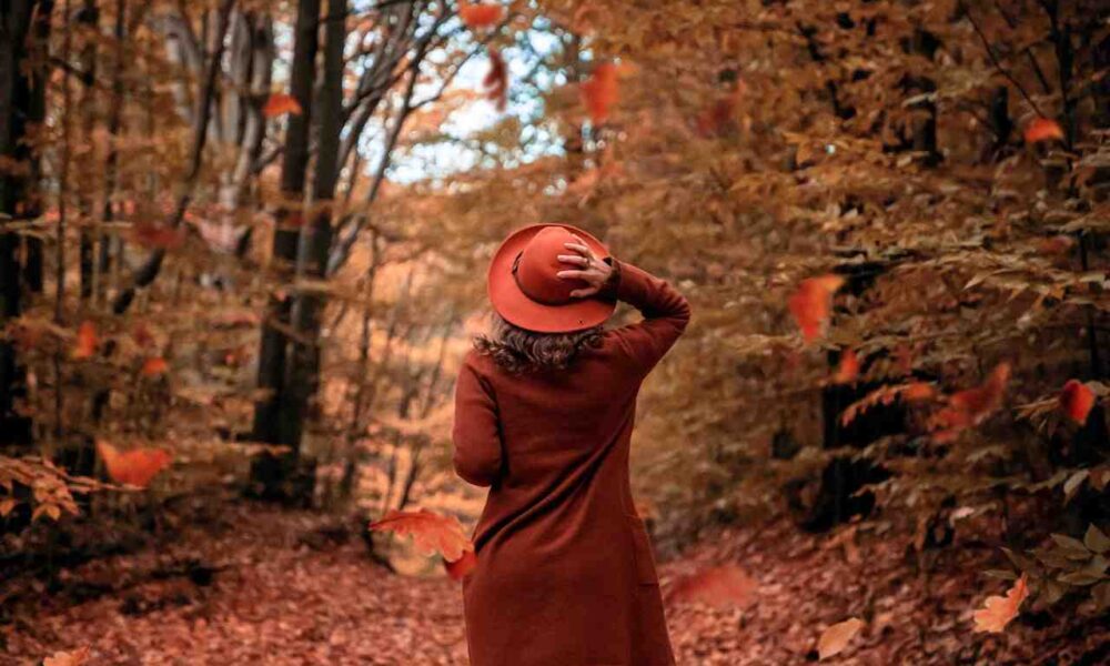 Prince Edward Island PNP