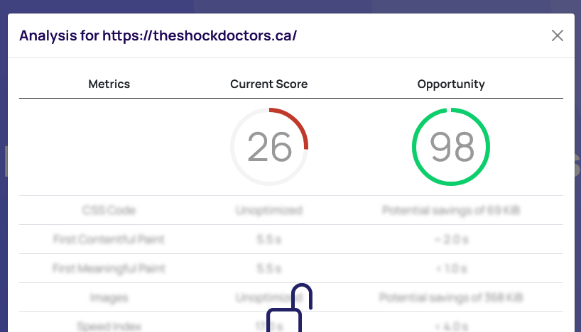 A screenshot of a screen showing the results of an analysis for a website, demonstrating the instant speed boost achieved with the Rabbitloader Plugin.