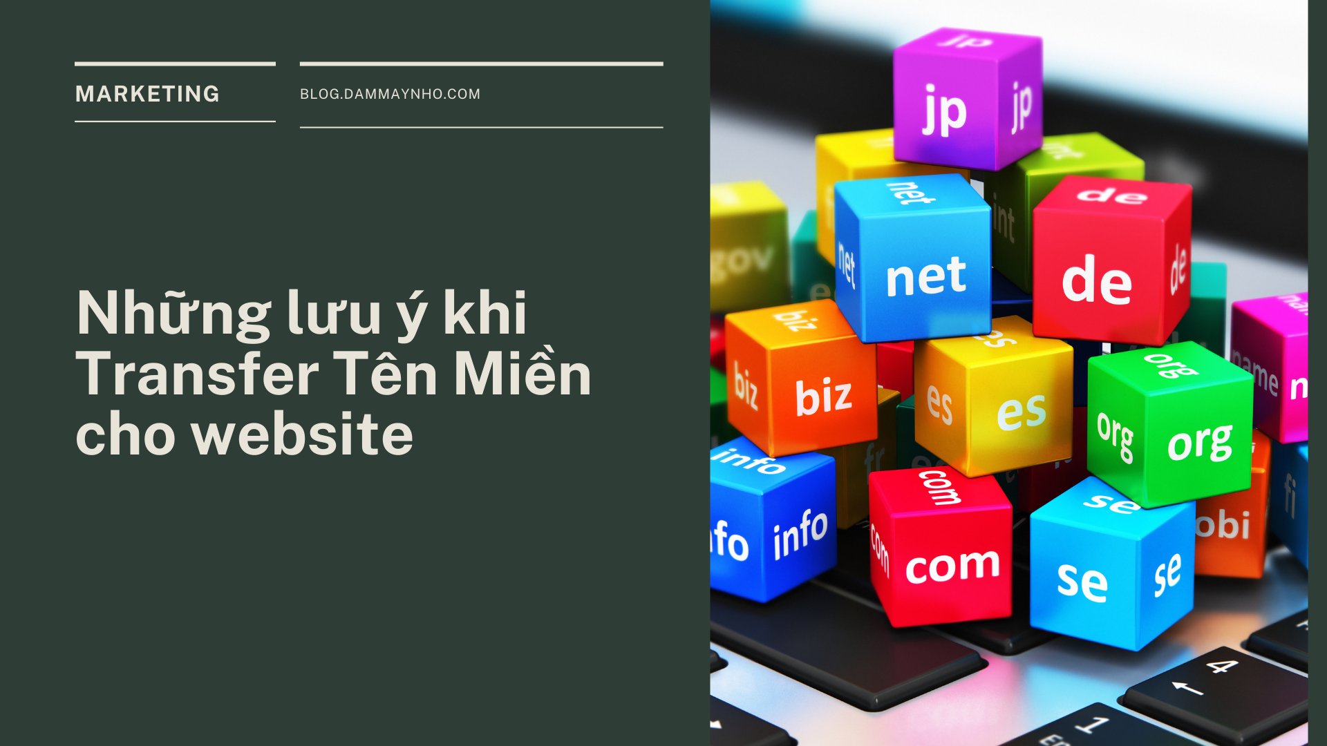 Những lưu ý khi transfer Tên Miền cho website