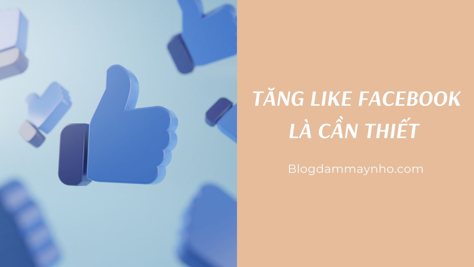 Tăng like Fanpage Facebook