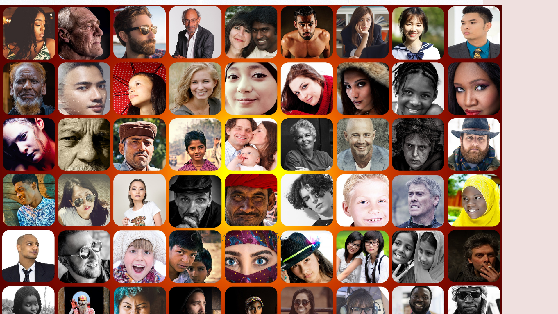 Thiết kế Website