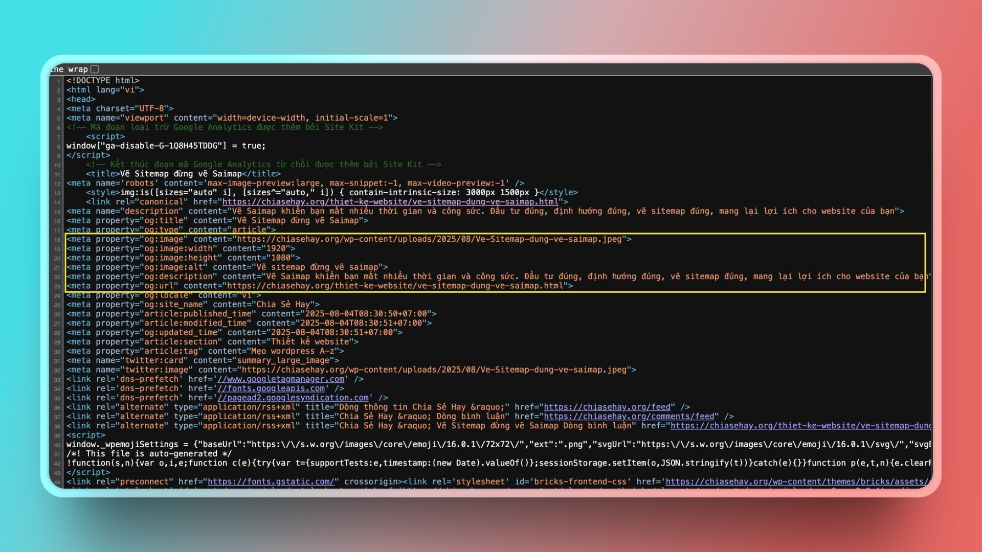 View page source
