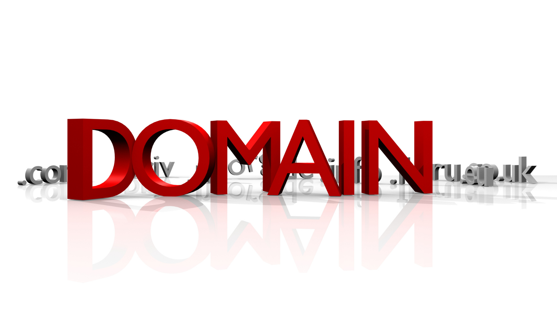 thiết kế website wordpress