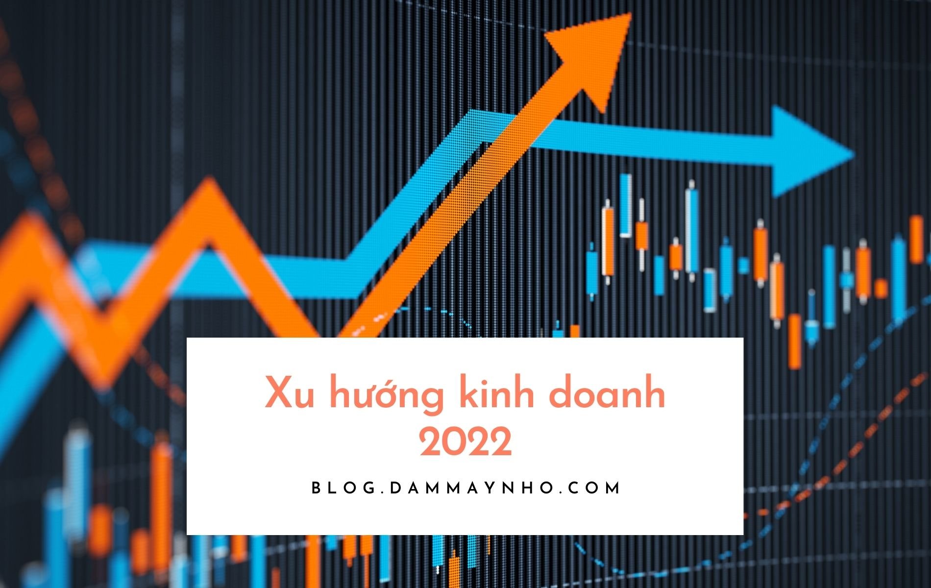 xu hướng kinh doanh