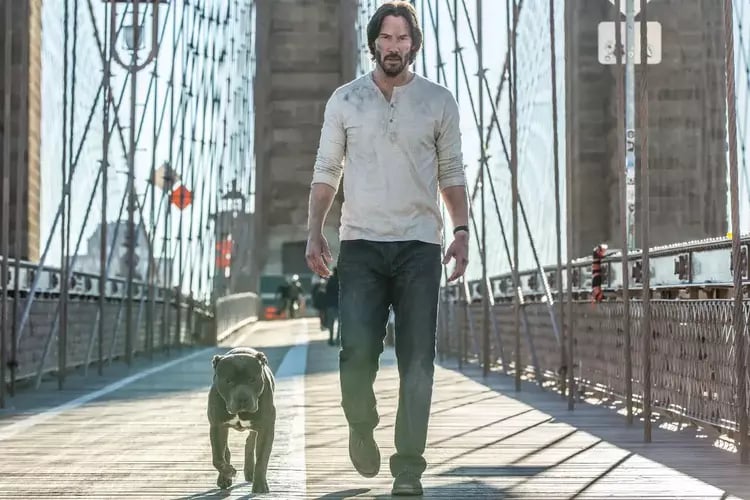 How Many John Wick Movies are There? 4 Powerful Films 3 how many john wick movies are there