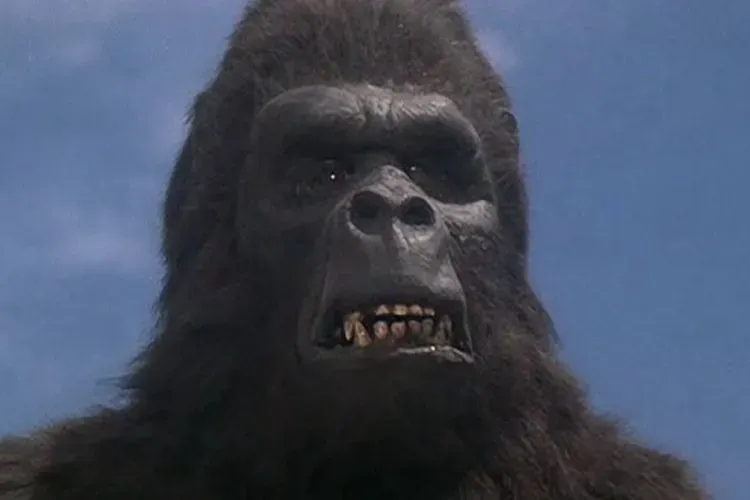 10 Powerful King Kong Movies In Order 6 King Kong Lives (1986)