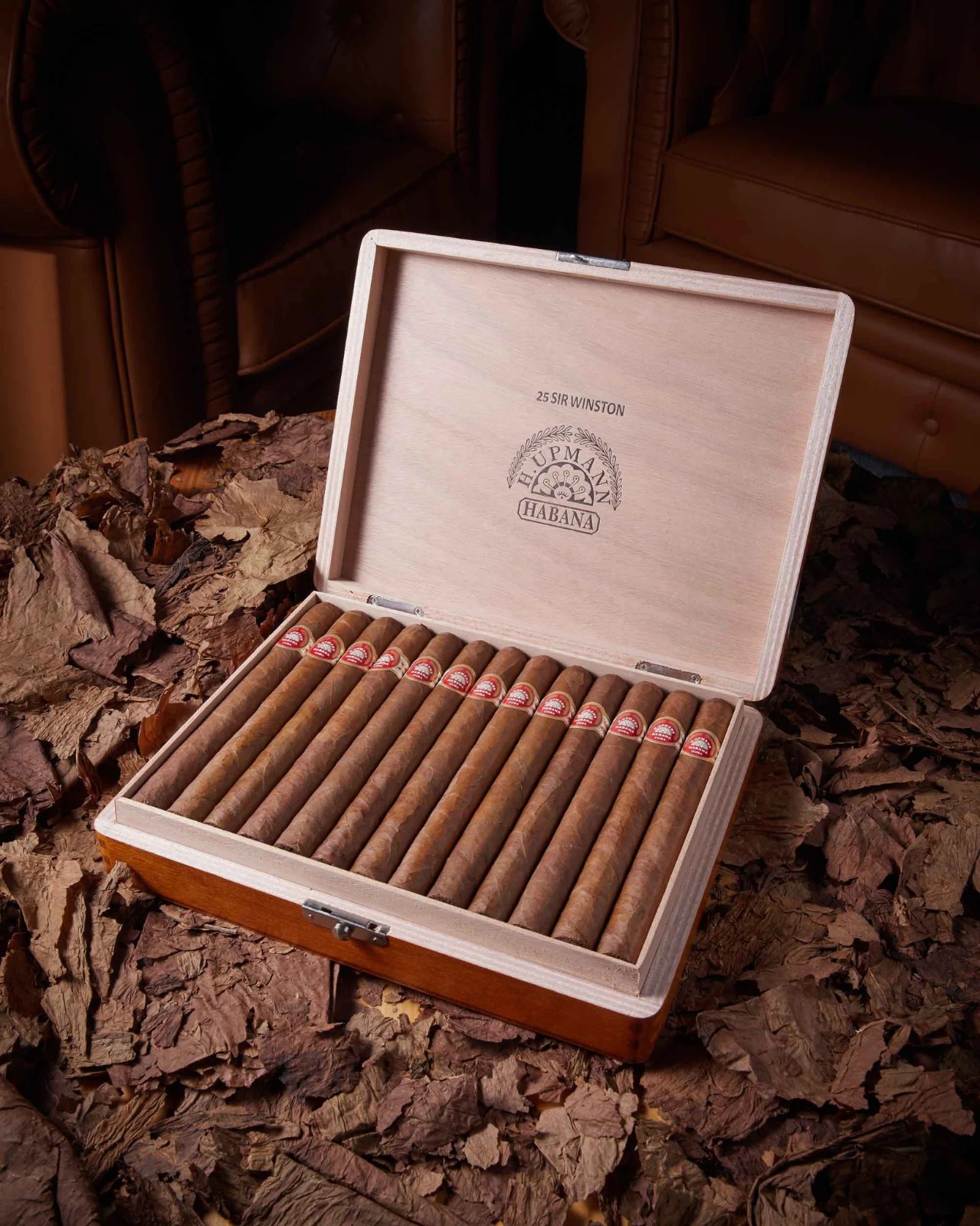 H. Upmann Sir Winston - Image 4