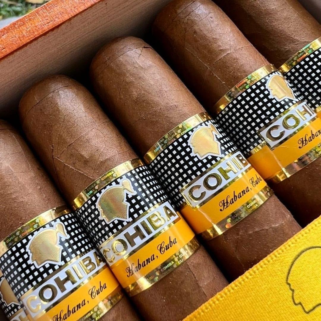 Cohiba Siglo VI - Image 14