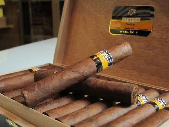 Cohiba Maduros 5 Genios - Image 6