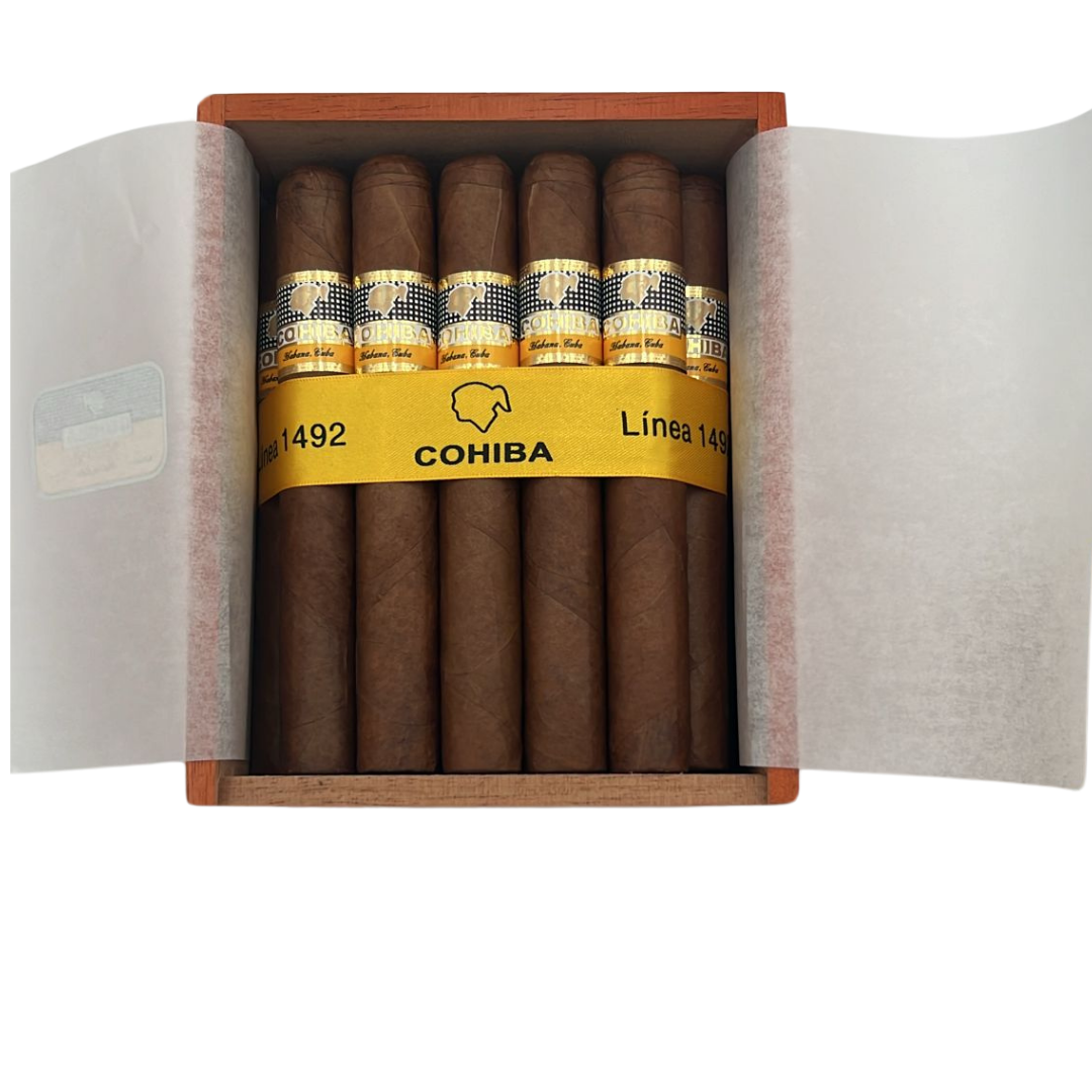 Cohiba Siglo VI 2