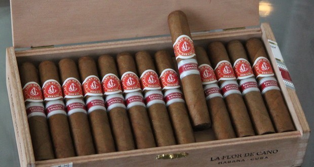 La Flor De Cano Siboney