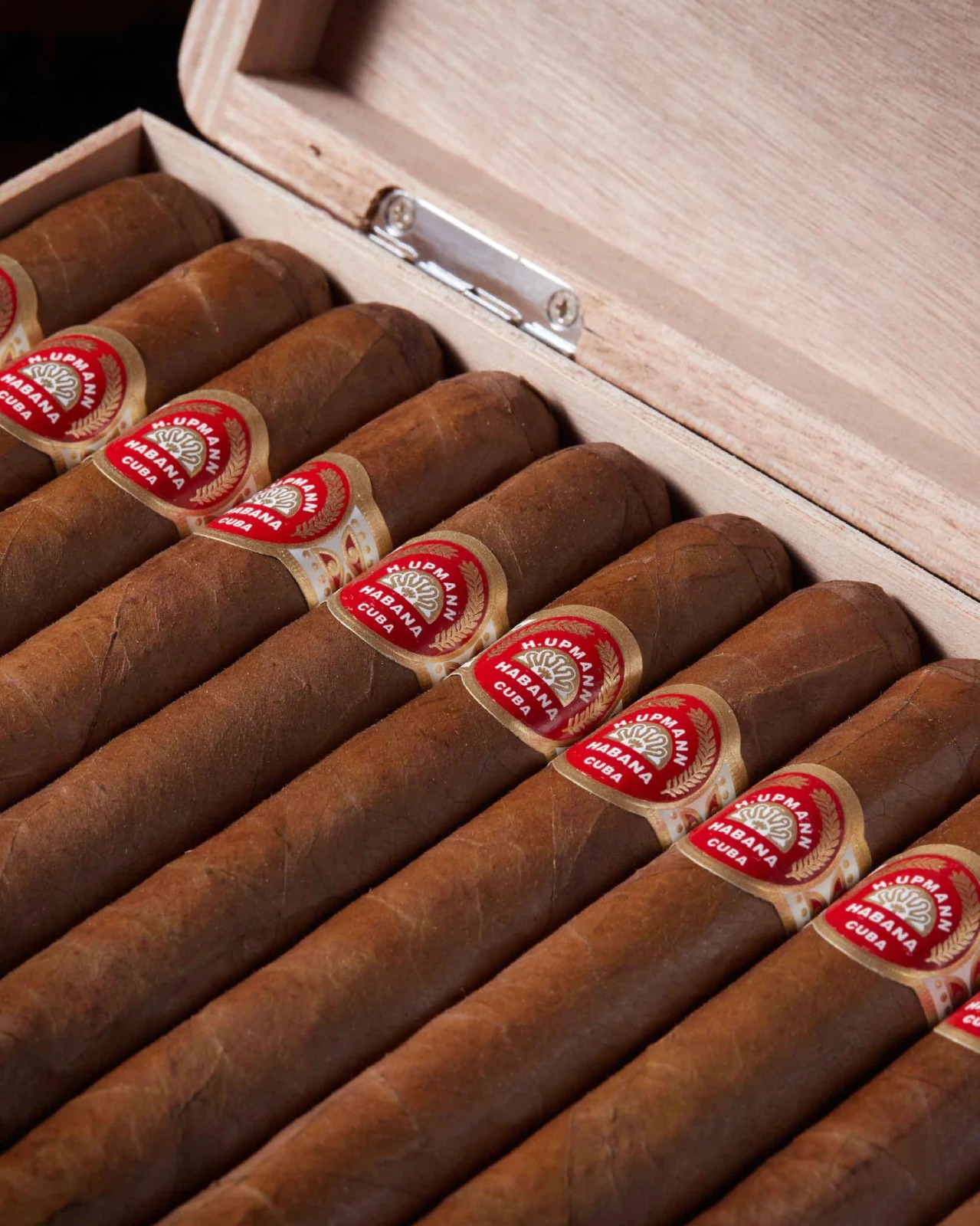 H. Upmann Sir Winston - Image 2